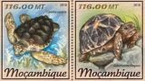 tartaruga francobollo